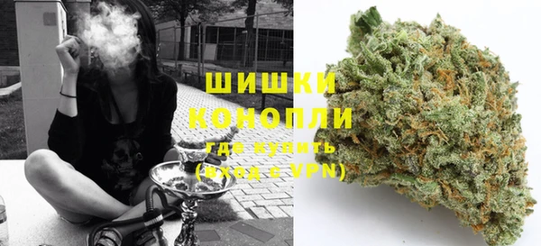 PSILOCYBIN Балахна