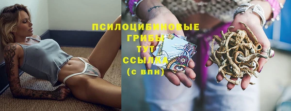 PSILOCYBIN Балахна