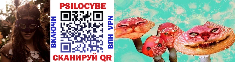 закладка  Еманжелинск  Псилоцибиновые грибы Cubensis 